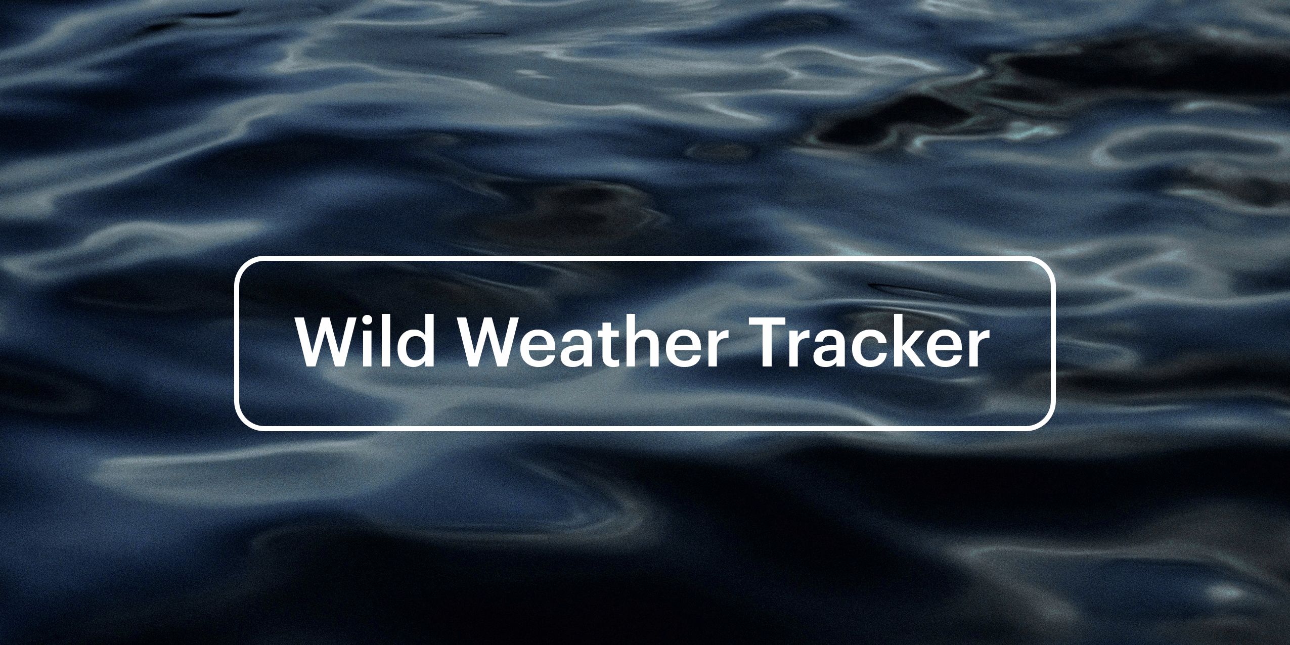Wild Weather Tracker tile with water background